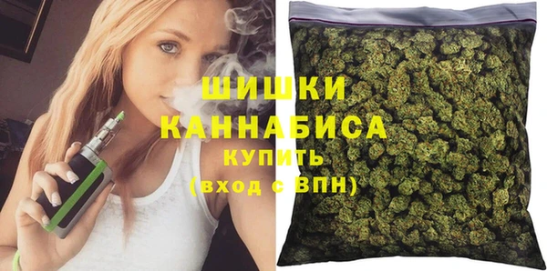 трава Магас